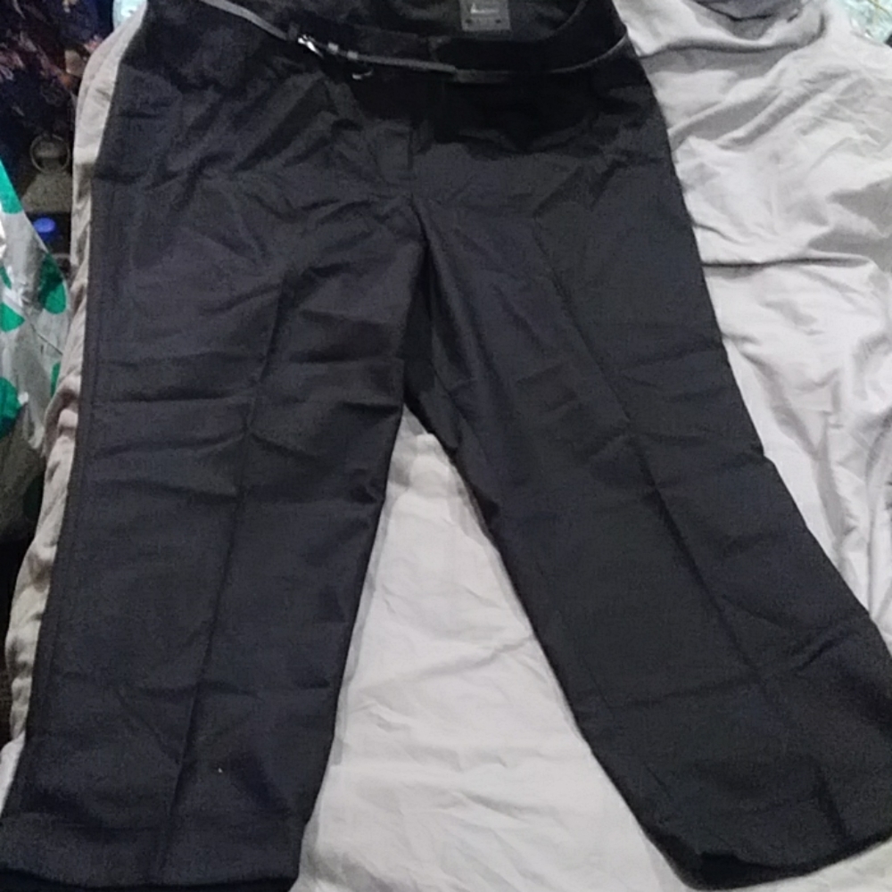 Women's dress pant